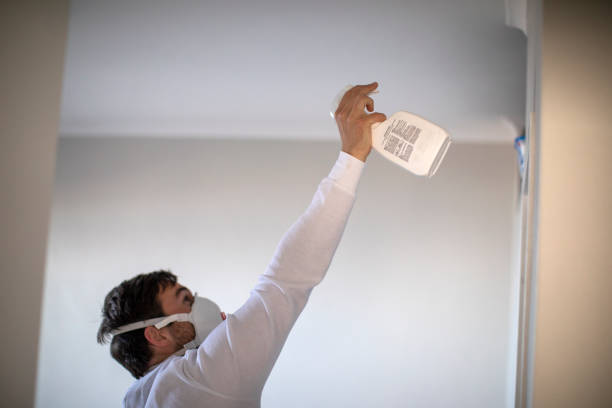 Best Mold Testing and Removal  in Stevensville, MT