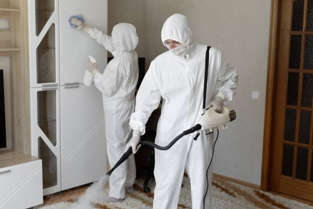 Best Mold Removal Process  in Stevensville, MT